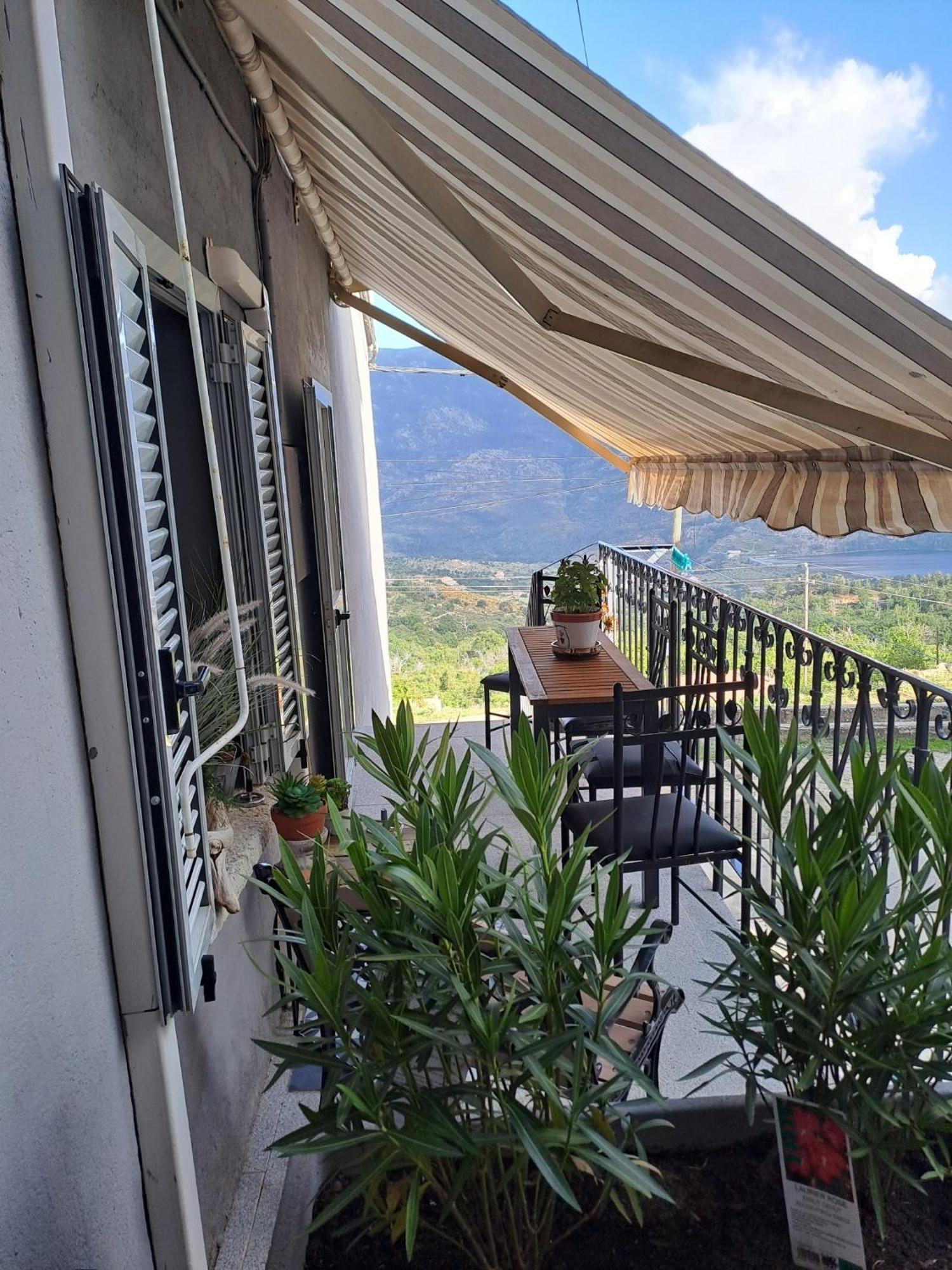 Location En Corse Au Pied Du Monte Cintu Apartment Lozzi Ngoại thất bức ảnh